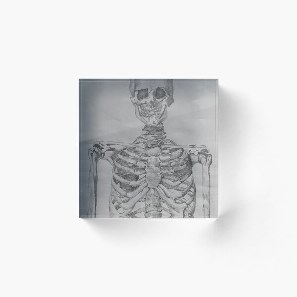 Skeleton Torso: Anterior View Acrylic Block