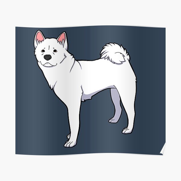 White Akita Posters Redbubble