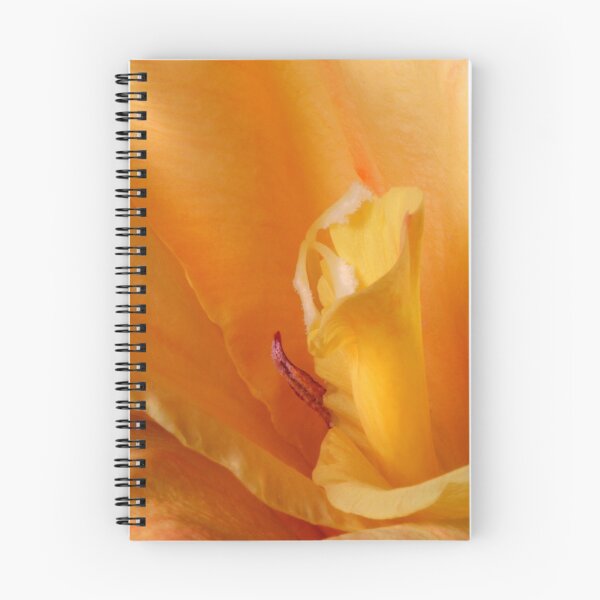 Item preview, Deep designed and sold by SmoothBreeze7 | Liz Collet Photography.