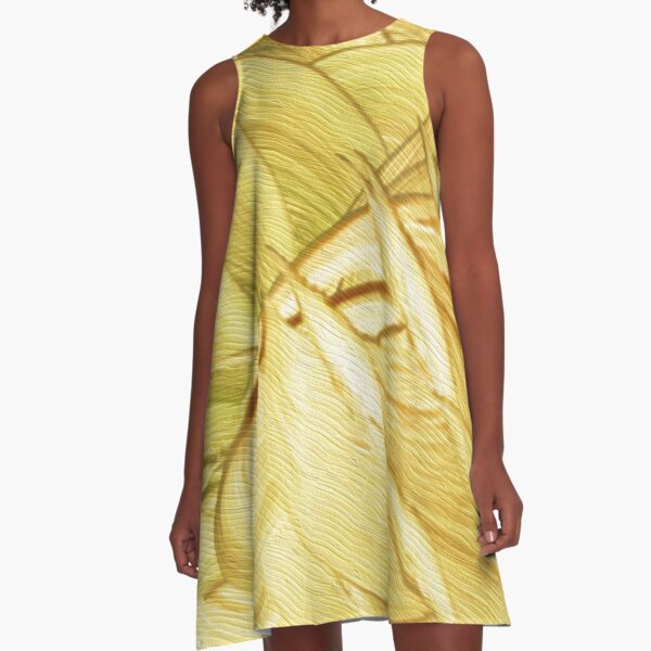 Ninigalla A-Line Dress