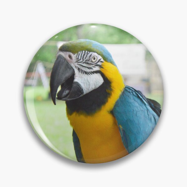 Item preview, Beautiful Macaw designed and sold by Nature's Reflections.