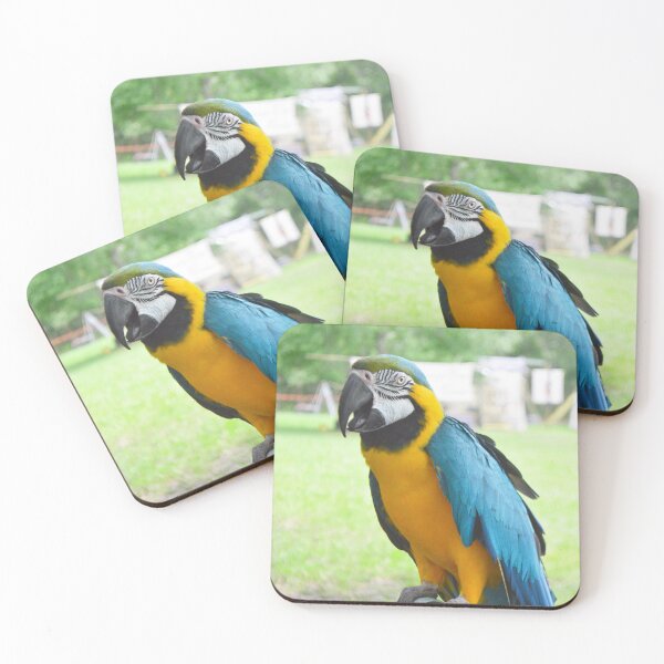 Item preview, Beautiful Macaw designed and sold by Nature's Reflections.