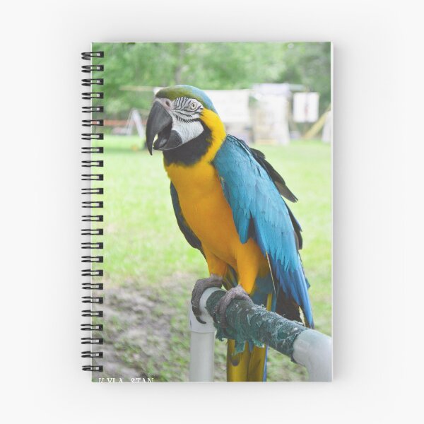 Item preview, Beautiful Macaw designed and sold by Nature's Reflections.