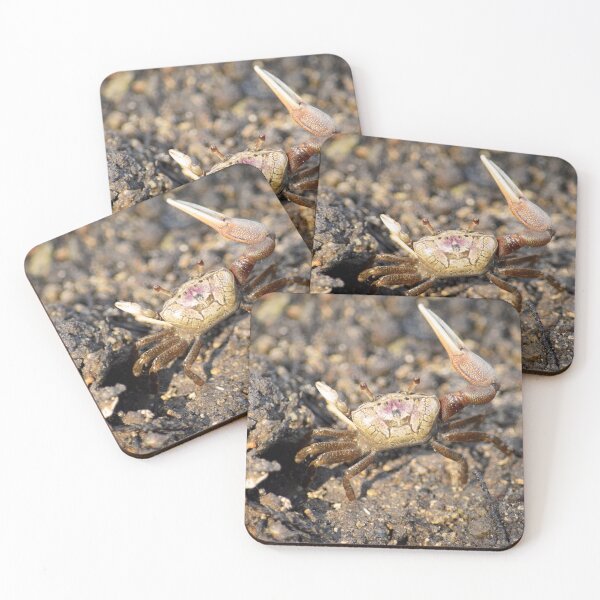 Item preview, Fiddler Crab Closeup designed and sold by Nature's Reflections.