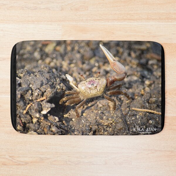 Item preview, Fiddler Crab Closeup designed and sold by Nature's Reflections.