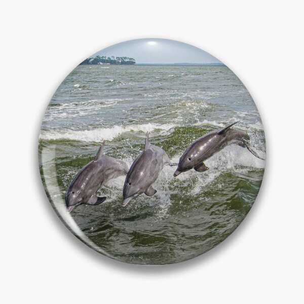 Item preview, Dolphins 4 designed and sold by Just My Nature Photography.
