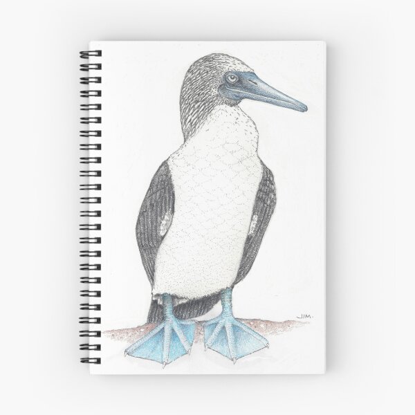 Item preview, barefooted blue footed booby designed and sold by JimsBirds.