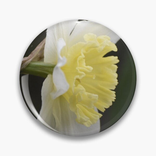 Item preview, Pastel Daffodil Sympathy Card designed and sold by Kathleen Brant.