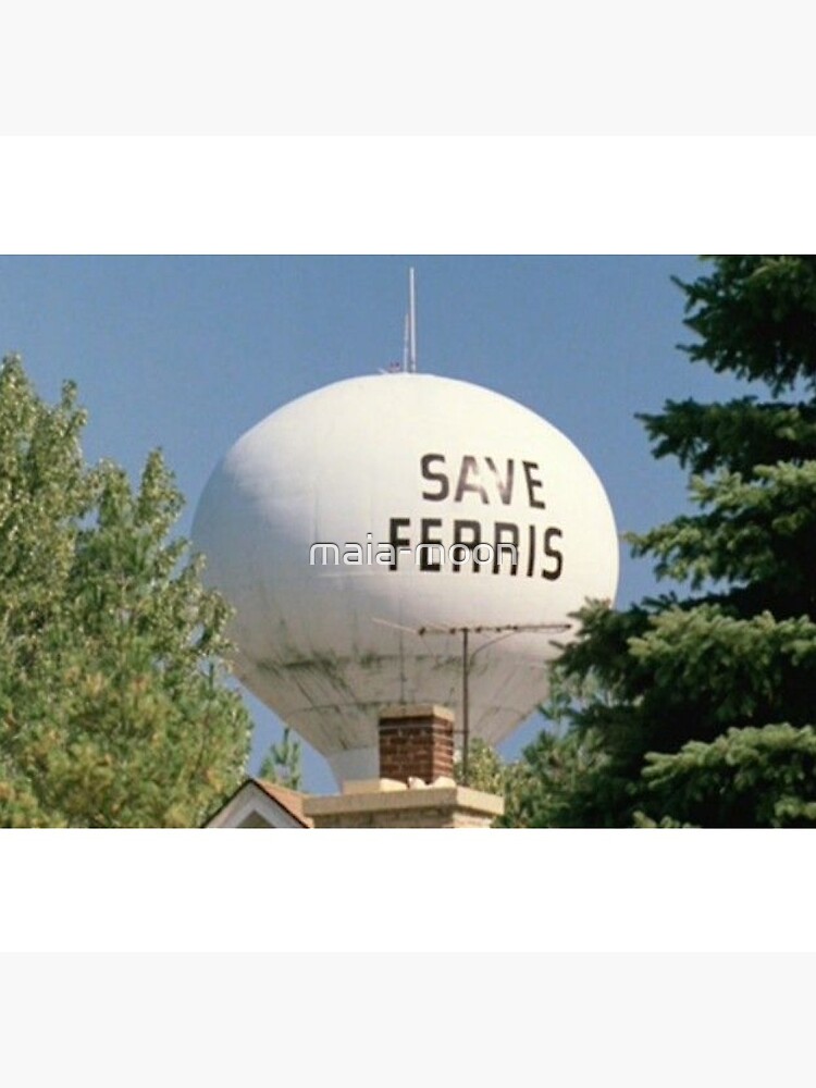 Disover Save Ferris  Pin