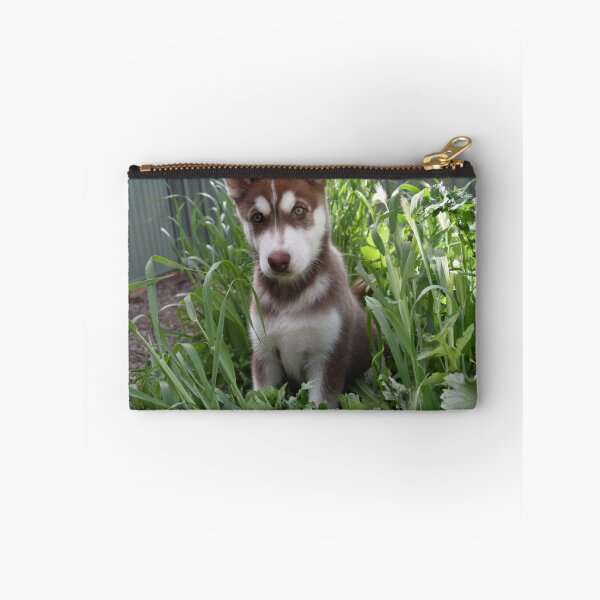 Aperçu de l'œuvre Chiot Jax-husky / malamute créée et vendue par Russell Voigt.