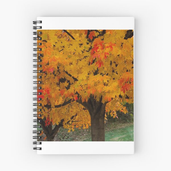 Item preview, Colorful Maple tree designed and sold by vm2002.