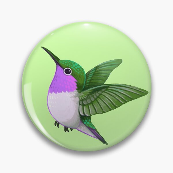 Item preview, Pride Birds: Woodstar Hummingbird designed and sold by Wren Melville's Art.