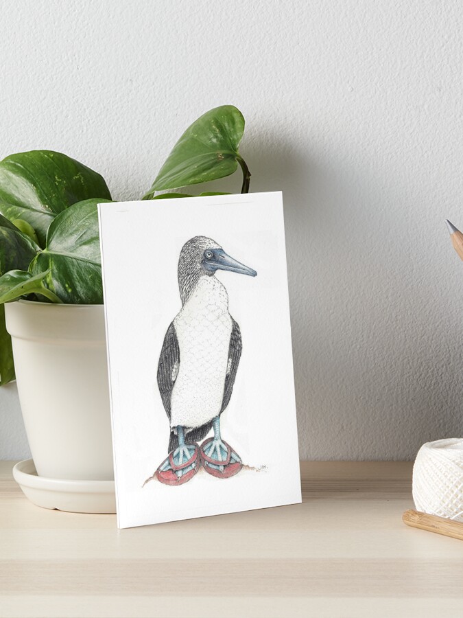 Thumbnail 1 of 2, Art Board Print, Blue footed booby in flip flops designed and sold by JimsBirds.