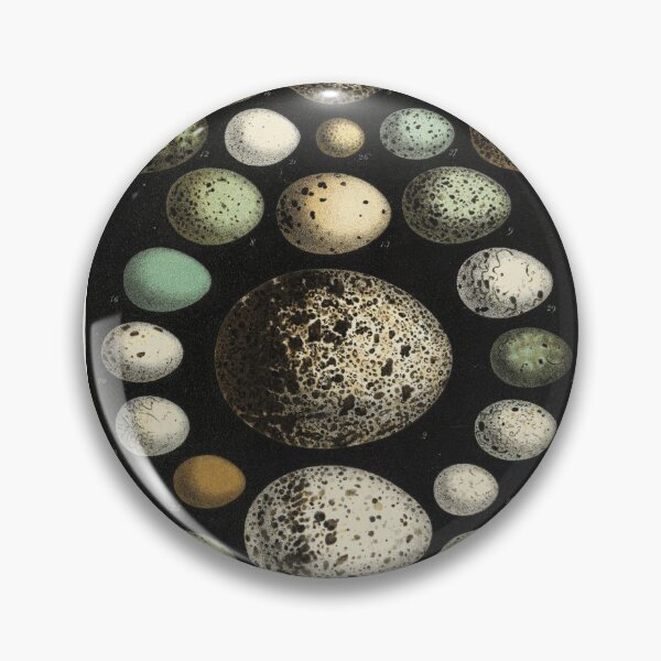 Item preview, Naturalist Eggs designed and sold by BlueSpecsStudio.