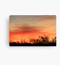 Angels Brush Canvas Print