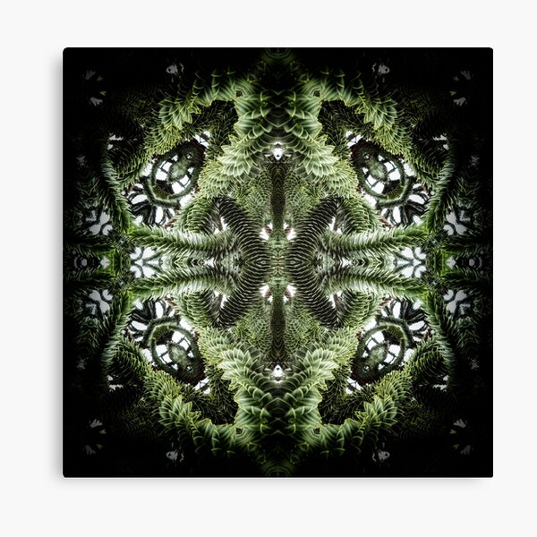 Pain Canvas Print