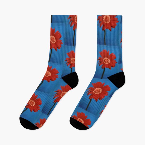 Aperçu de l'œuvre Red Gerbera on Blue Canvas créée et vendue par RachelAlbang.