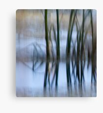 Reeds Canvas Print