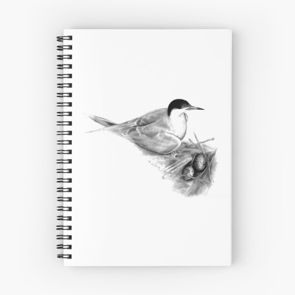 Item preview, Common Tern (Sterna hirundo) designed and sold by Tamara Clark.