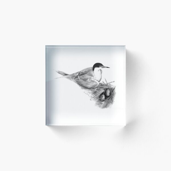 Item preview, Common Tern (Sterna hirundo) designed and sold by Tamara Clark.