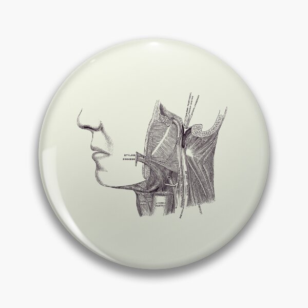 Item preview, Neck and Jaw Muscular Diagram - Vintage Anatomy 2 designed and sold by VAposters.