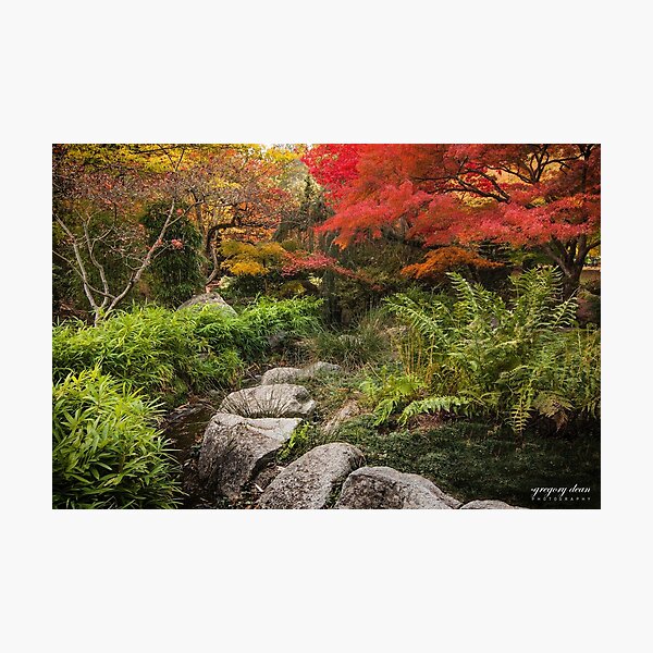Quiet Place - A Special Garden Photographic Print