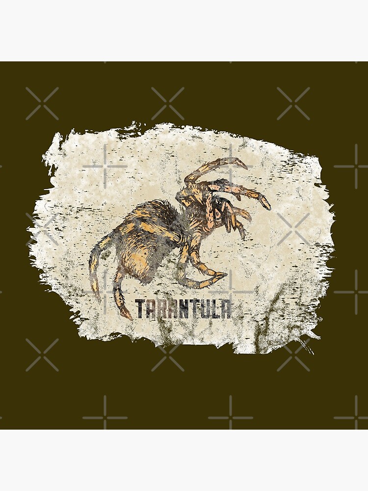 Tarantula Spider Lover Tarantula Pet Owner Vintage Arachnid Graphic Print by thespottydogg