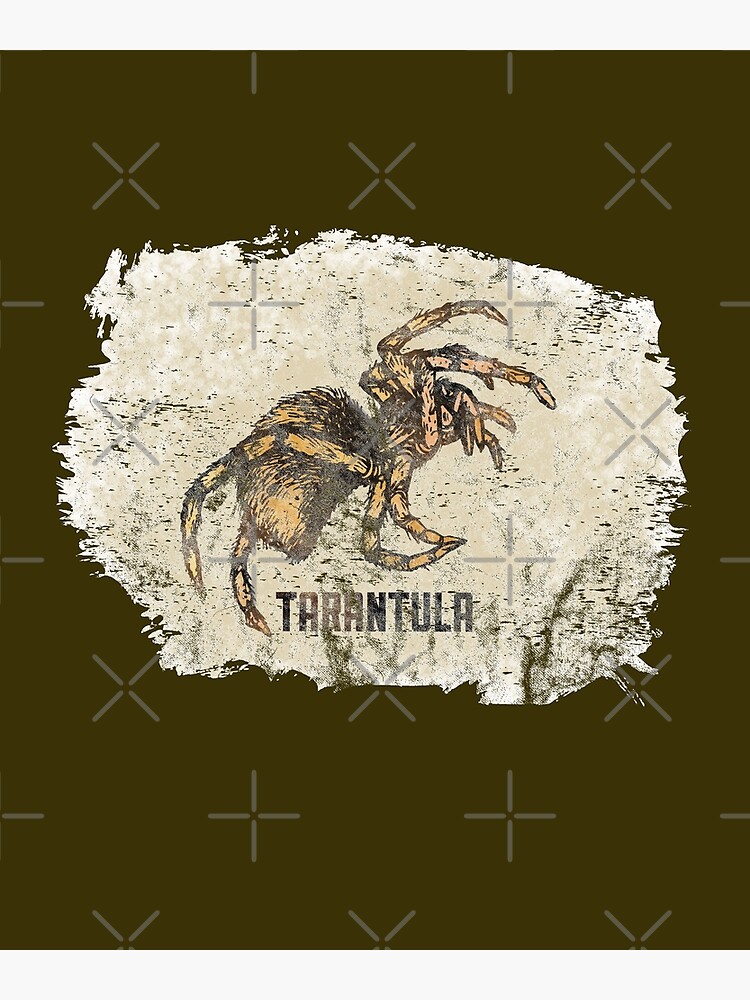 Tarantula Spider Lover Tarantula Pet Owner Vintage Arachnid Graphic Print by thespottydogg