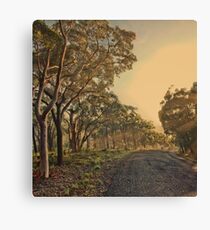 On the road to nowhere Canvas Print