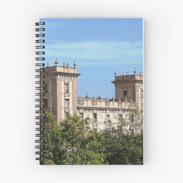 Item preview, Museo de Bellas Artes, València designed and sold by Trish Meyer.