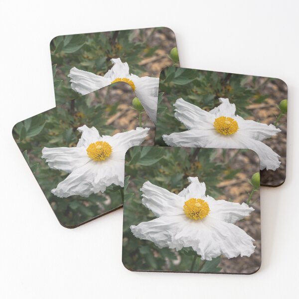 Item preview, Matilija Poppy designed and sold by Ian Christopher.