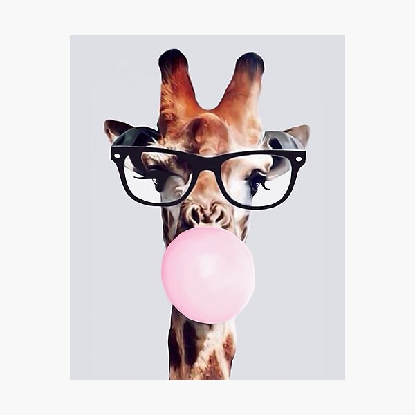 Giraffe Wearing Glasses & Blowing a Pink Bubblegum Photographic Print