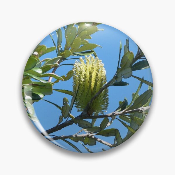 Item preview, Coast Banksia designed and sold by Trish Meyer.