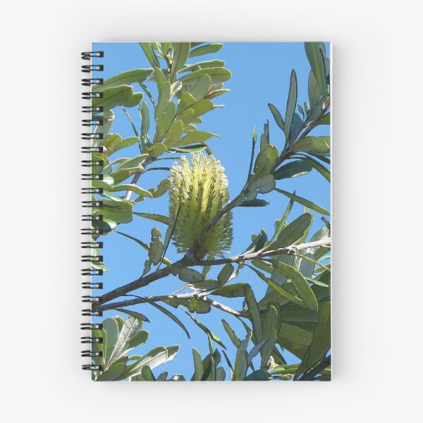 Item preview, Coast Banksia designed and sold by Trish Meyer.