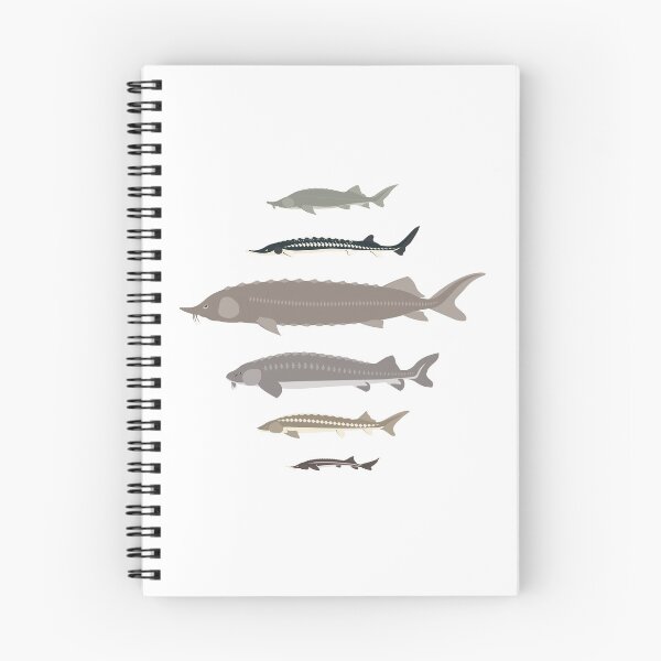 Item preview, Sturgeon of the World designed and sold by Emma Pardini.