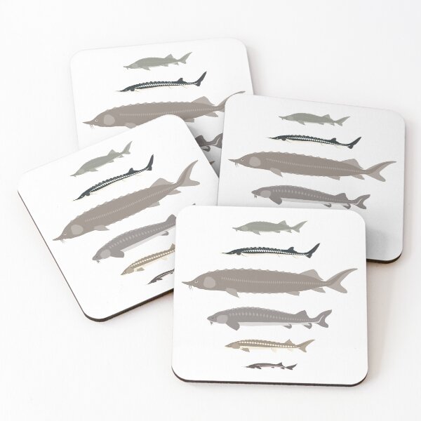 Item preview, Sturgeon of the World designed and sold by Emma Pardini.