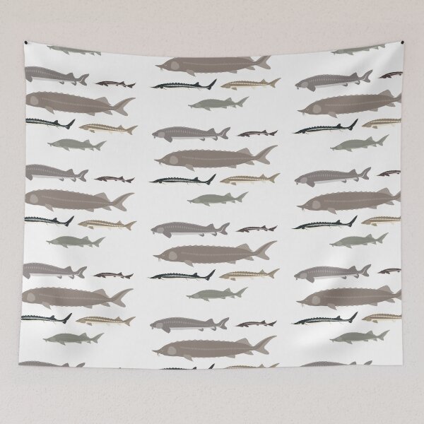 Item preview, Sturgeon of the World designed and sold by Emma Pardini.