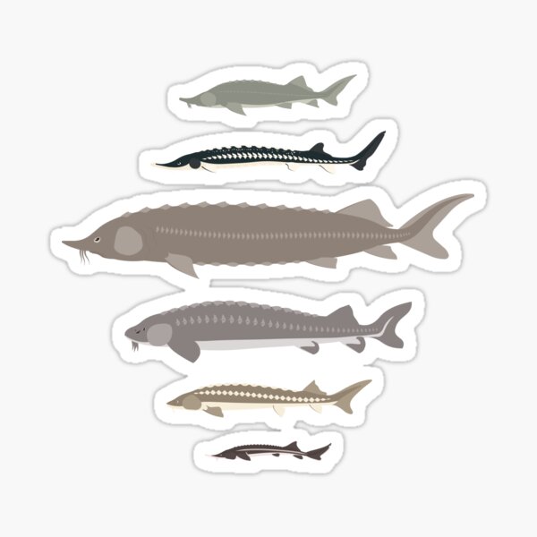 Armored Fish Stickers for Sale