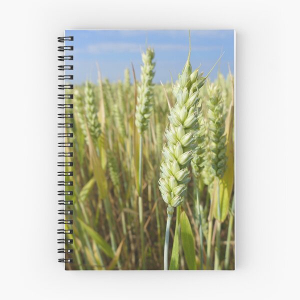 Item preview, Ripening wheat designed and sold by Anna Myerscough.