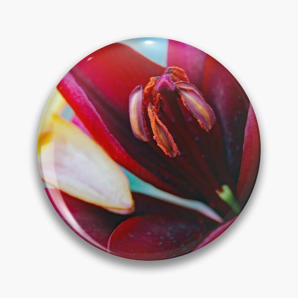 Item preview, Asiatic delight! designed and sold by Patman61.