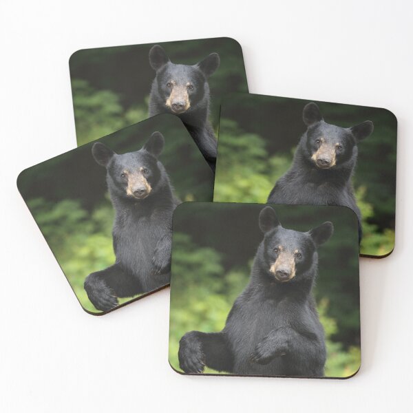 Item preview, Standing Black Bear designed and sold by mlorenz.
