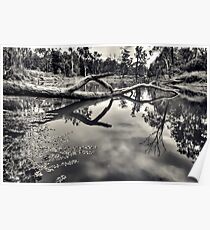 Crystal Pond Poster