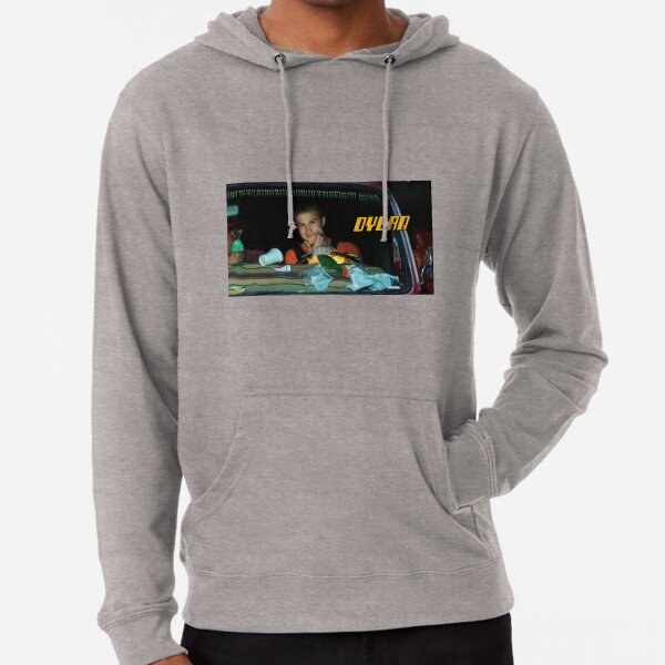 Wallows Ok Lightweight Hoodie By Retrop0lis Redbubble