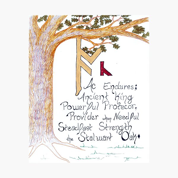 Ac, Rune of the Oak Photographic Print