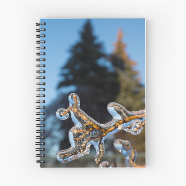 Item preview, Mother Natures Christmas Decorations - Encapsulated Branch designed and sold by Georgia Mizuleva.