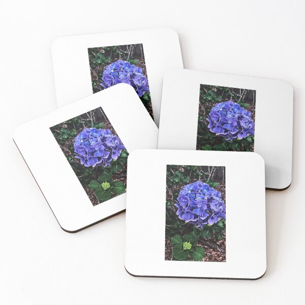 Item preview, Hydrangea  designed and sold by ciarameadows.