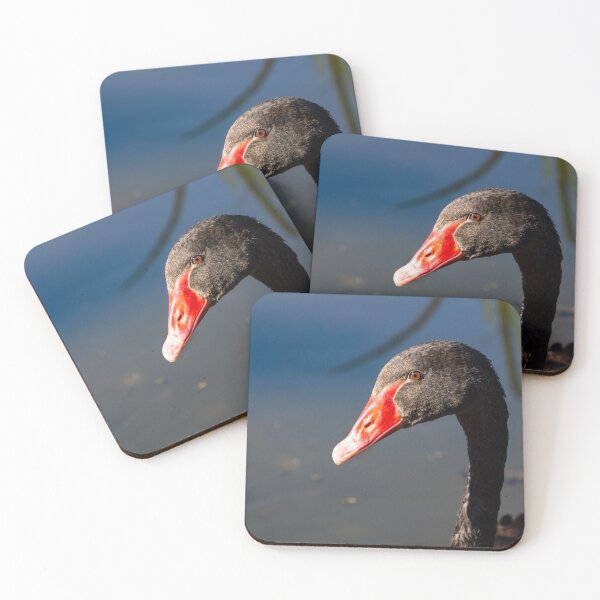 Item preview, Head and neck of Black swan. designed and sold by Anne Scantlebury.