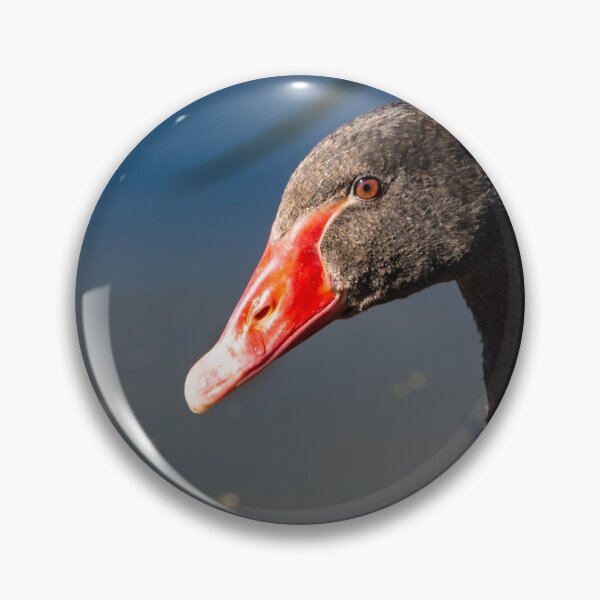 Item preview, Head and neck of Black swan. designed and sold by Anne Scantlebury.