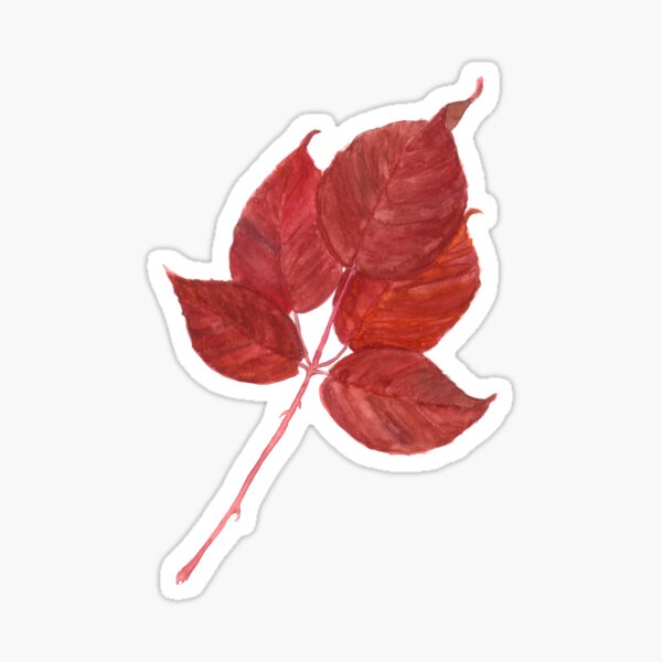Autumn Raspberry Leaf Sticker
