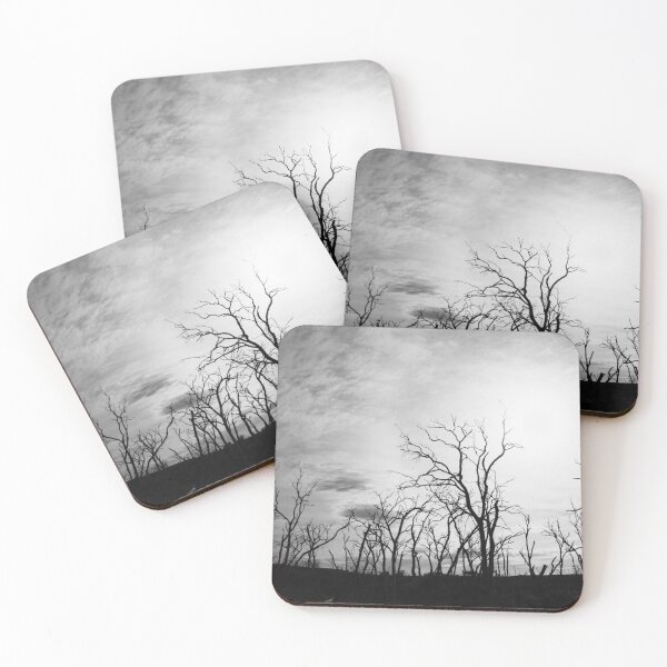 Item preview, Black and white tree skeletons. designed and sold by Anne Scantlebury.